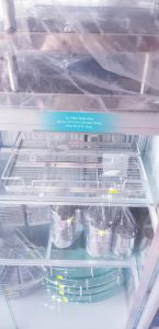Thiết bị nhà tắm